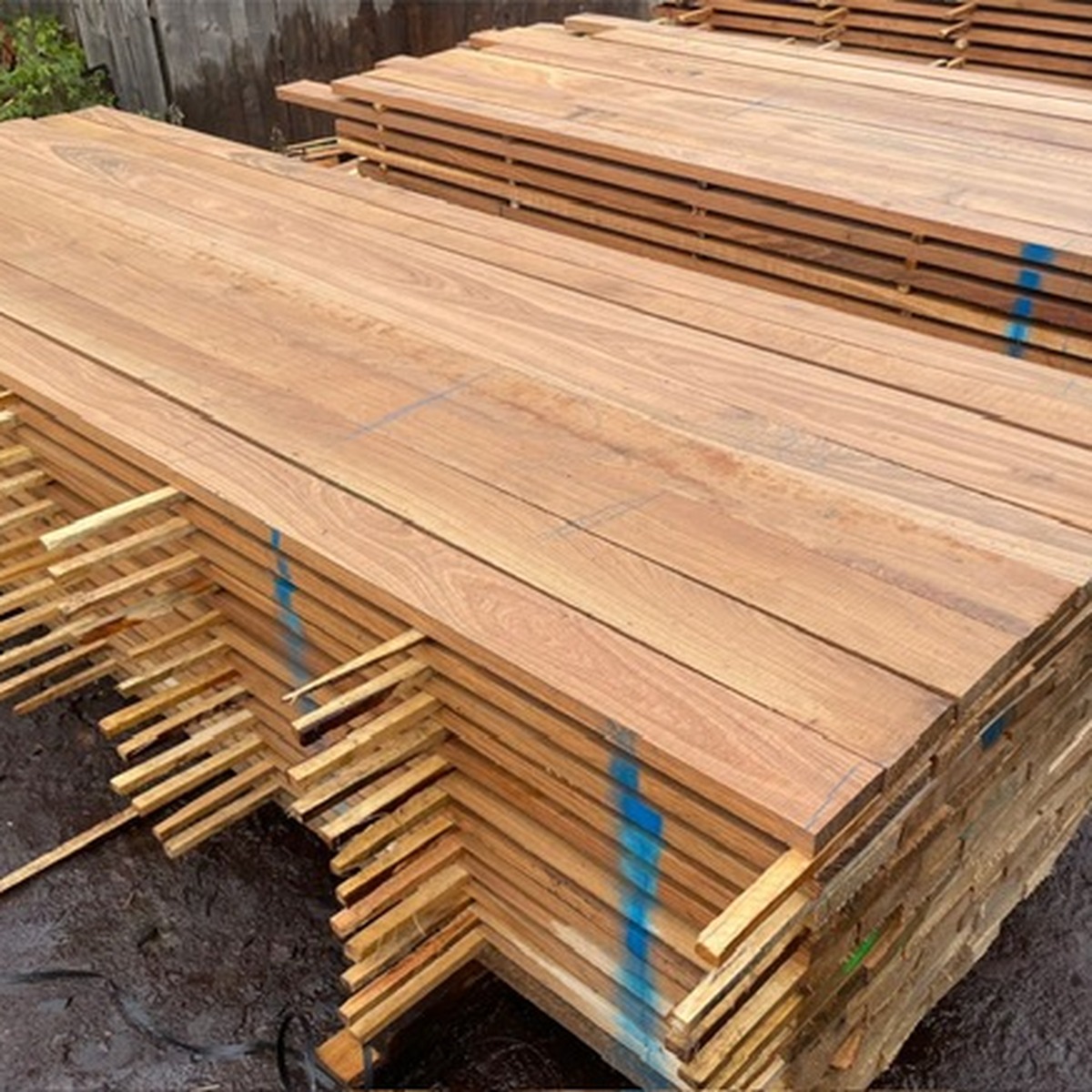 Square-format photo of stacked European white oak boards prepared for lumber supply